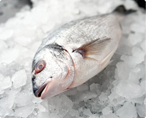 refrigerated distribution loading operation